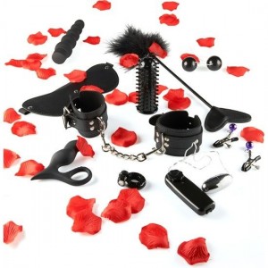 BDSM pleasure starter kit LOVE TOY from the JUST FOR YOU series