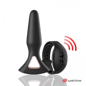 ALEXANDRU anal vibrator with remote control WATCHME by ANBIGUO