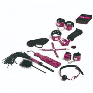 BDSM Master & Slave Kit with 13 Magenta Accessories by TEASE & PLEASE